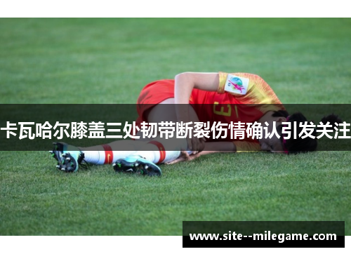 卡瓦哈尔膝盖三处韧带断裂伤情确认引发关注