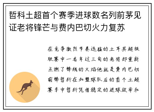 哲科土超首个赛季进球数名列前茅见证老将锋芒与费内巴切火力复苏